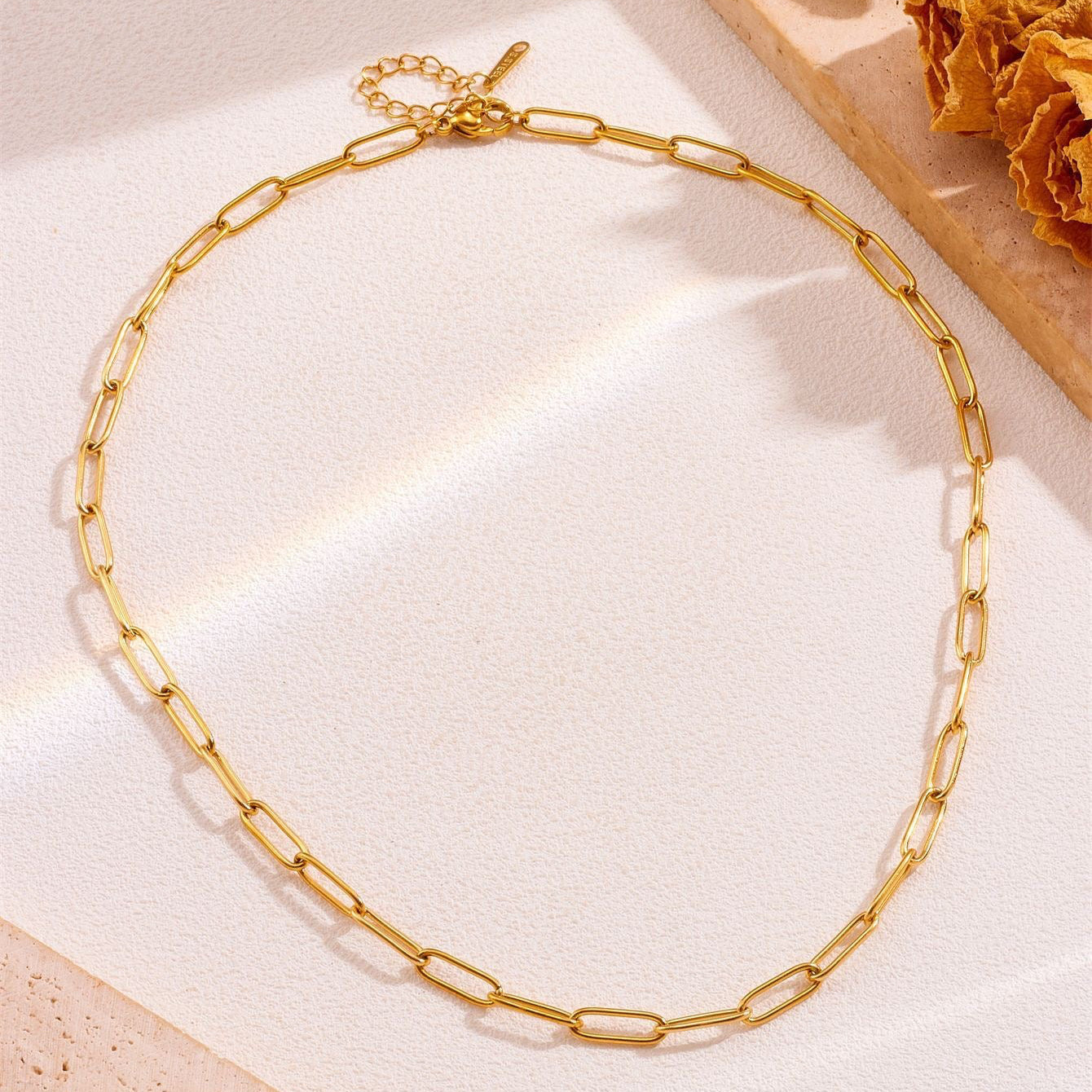 Trinket Trove Gold Plated Stainless Steel Hypoallergenic Pendants / Charms Series & Paper clip Link Chain Optional