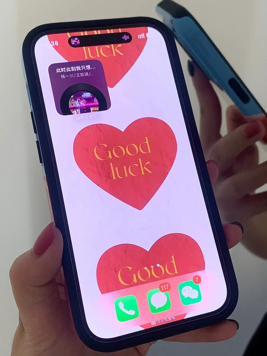 Puui Apple iPhone Case