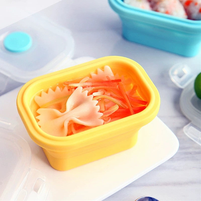 Collapsible Mini Food Boxes (Set of 4)