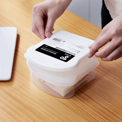 Ice-pack Food Storage Container
