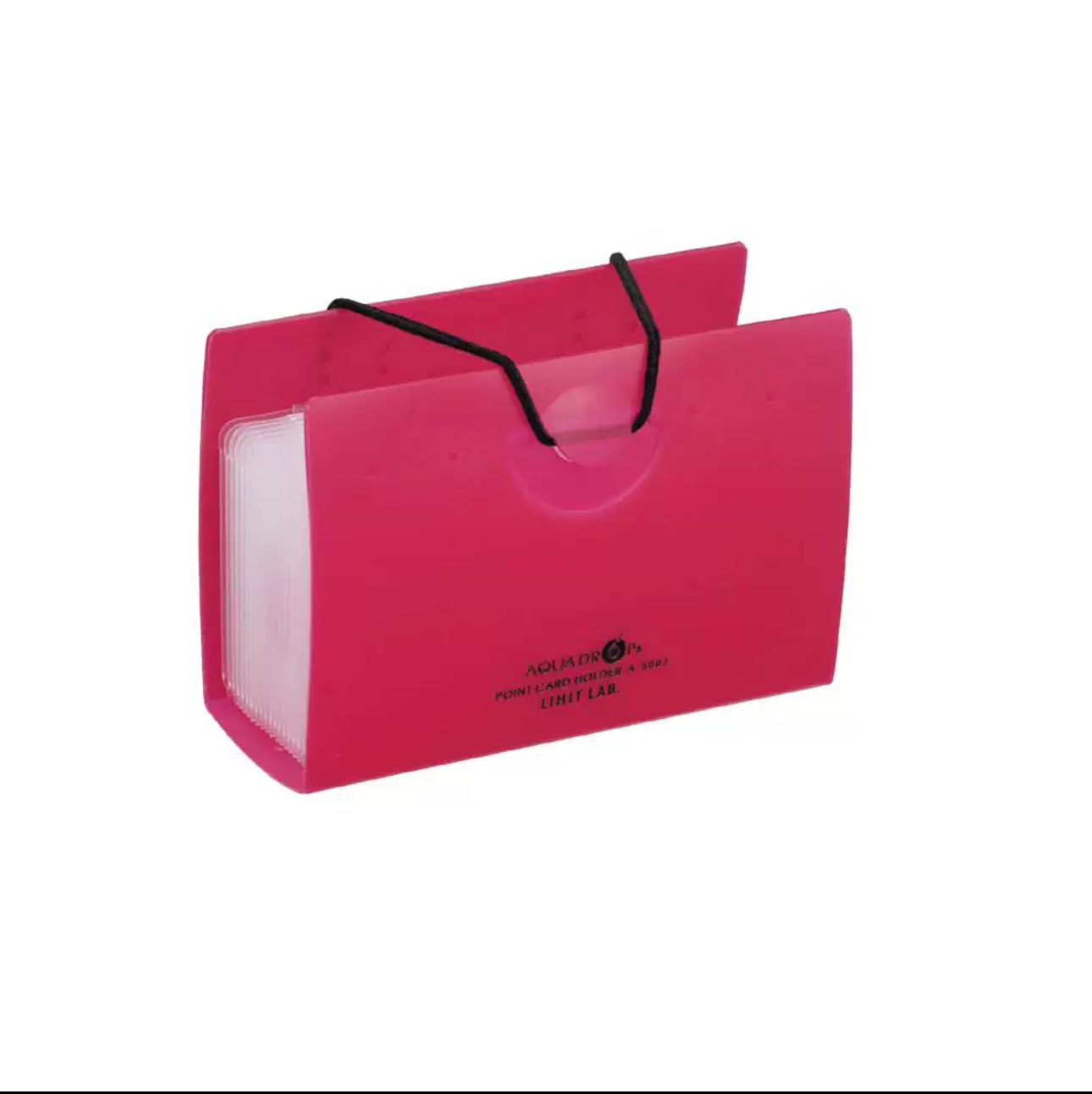 LIHIT LAB (Japan) Card Holder
