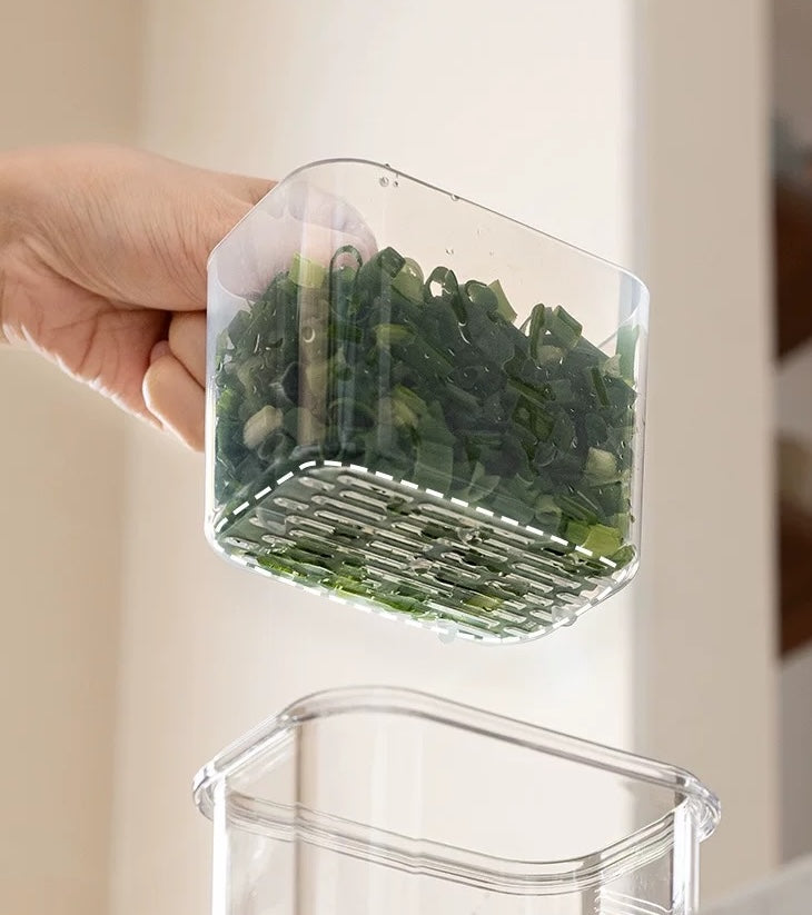 Food Preserving container x strainer