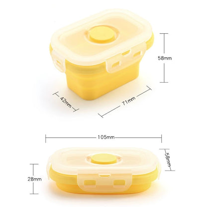 Collapsible  Mini Food Boxes (Set of 4)