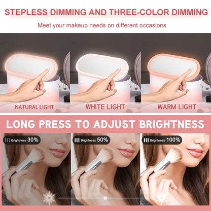 Portable Makeup Vanity Case with rechargeable illuminating touch mirror