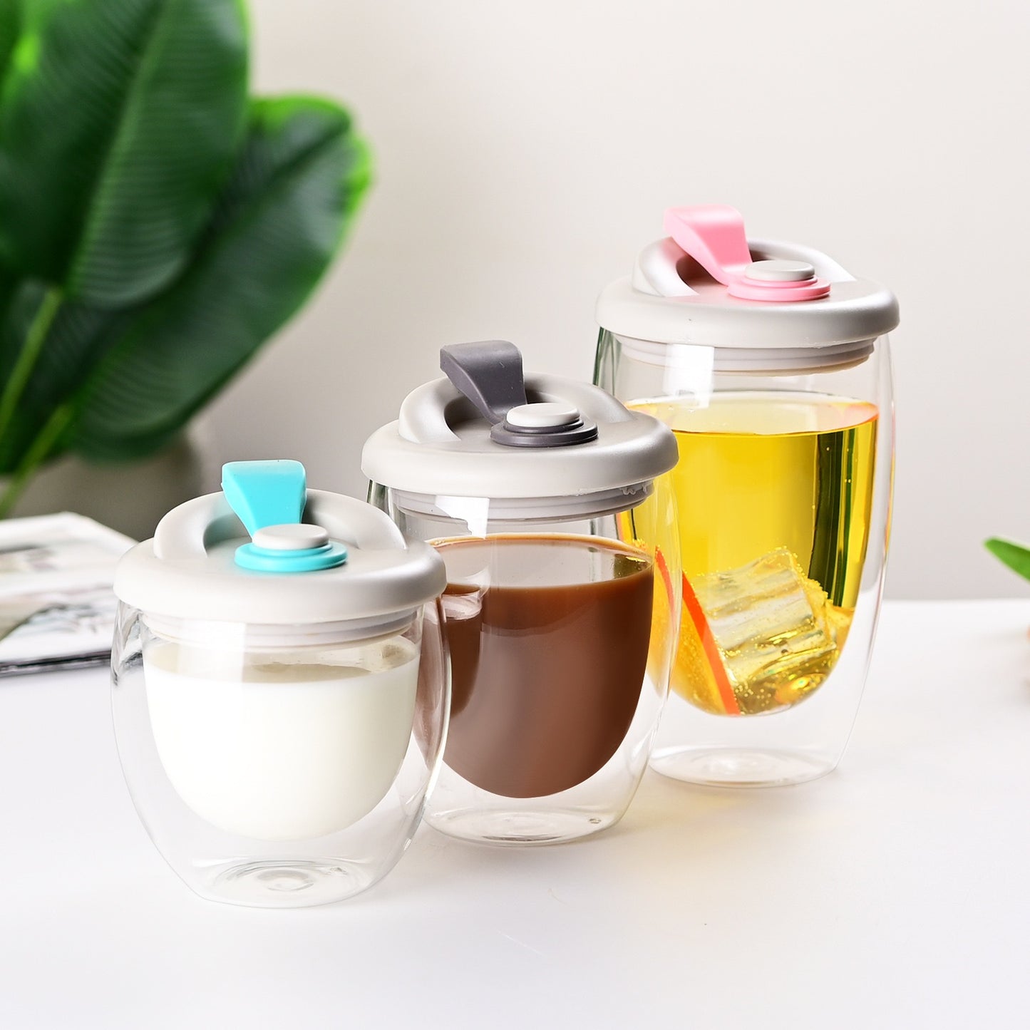 Double Layer Glass Cup with Lid