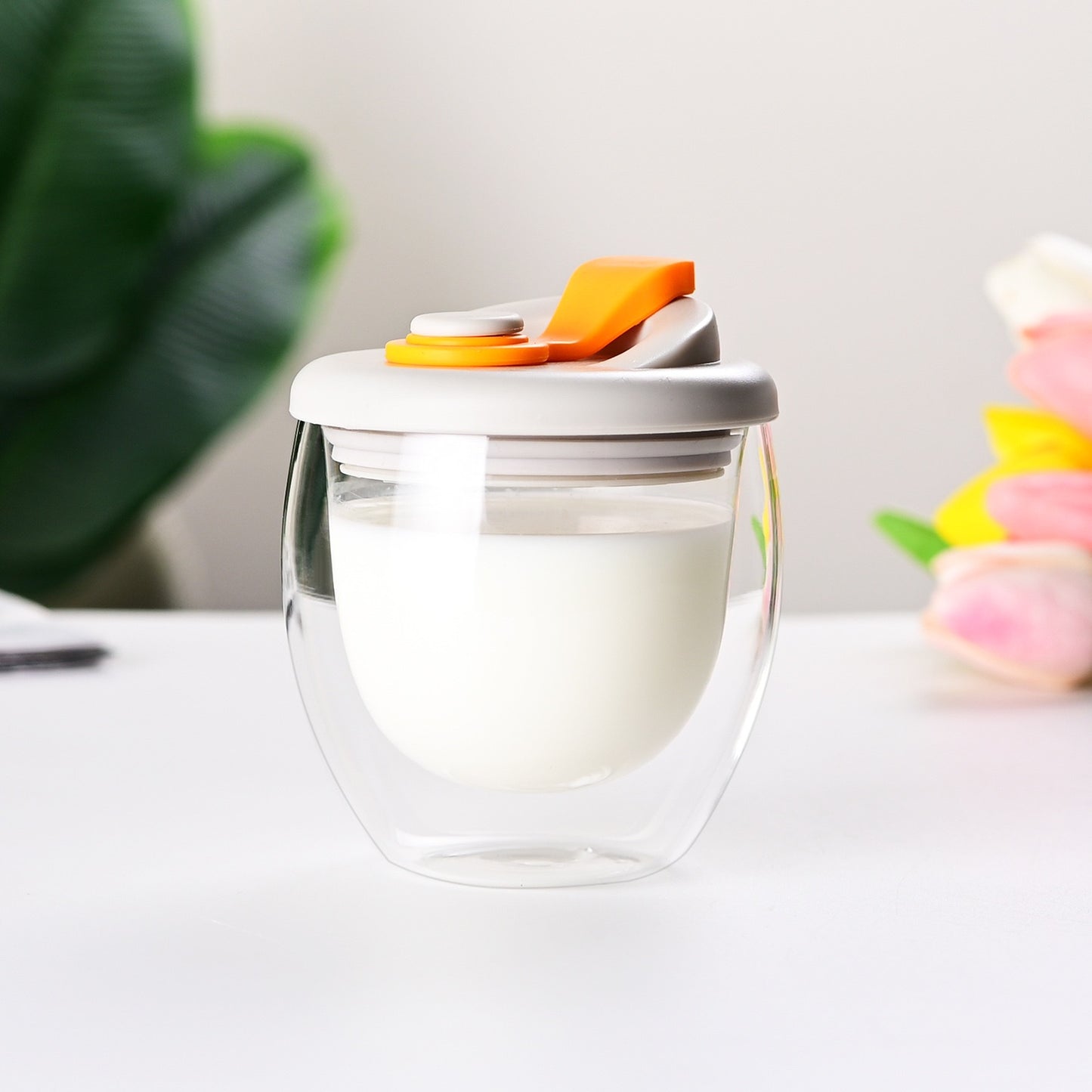 Double Layer Glass Cup with Lid