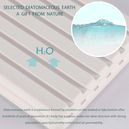 Water Absorbent Rectangle Diatomite Coasters